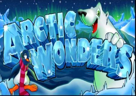 Arctic Wonders