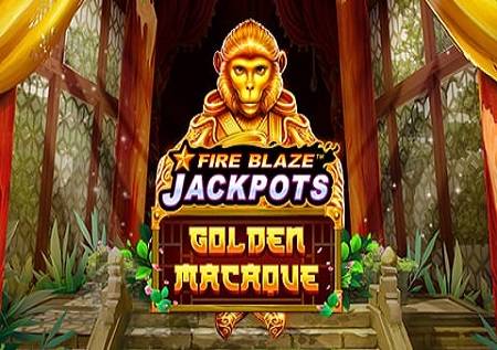 Golden Macaque