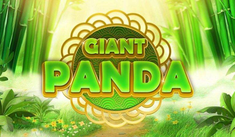 Giant Panda
