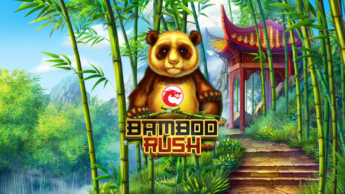 Bamboo