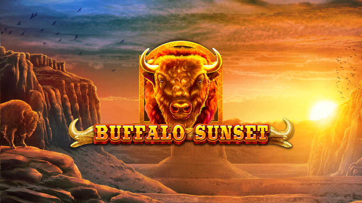 Buffalo Sunset
