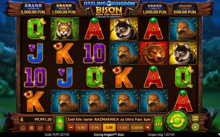 Sizzling Kingdom Bison
